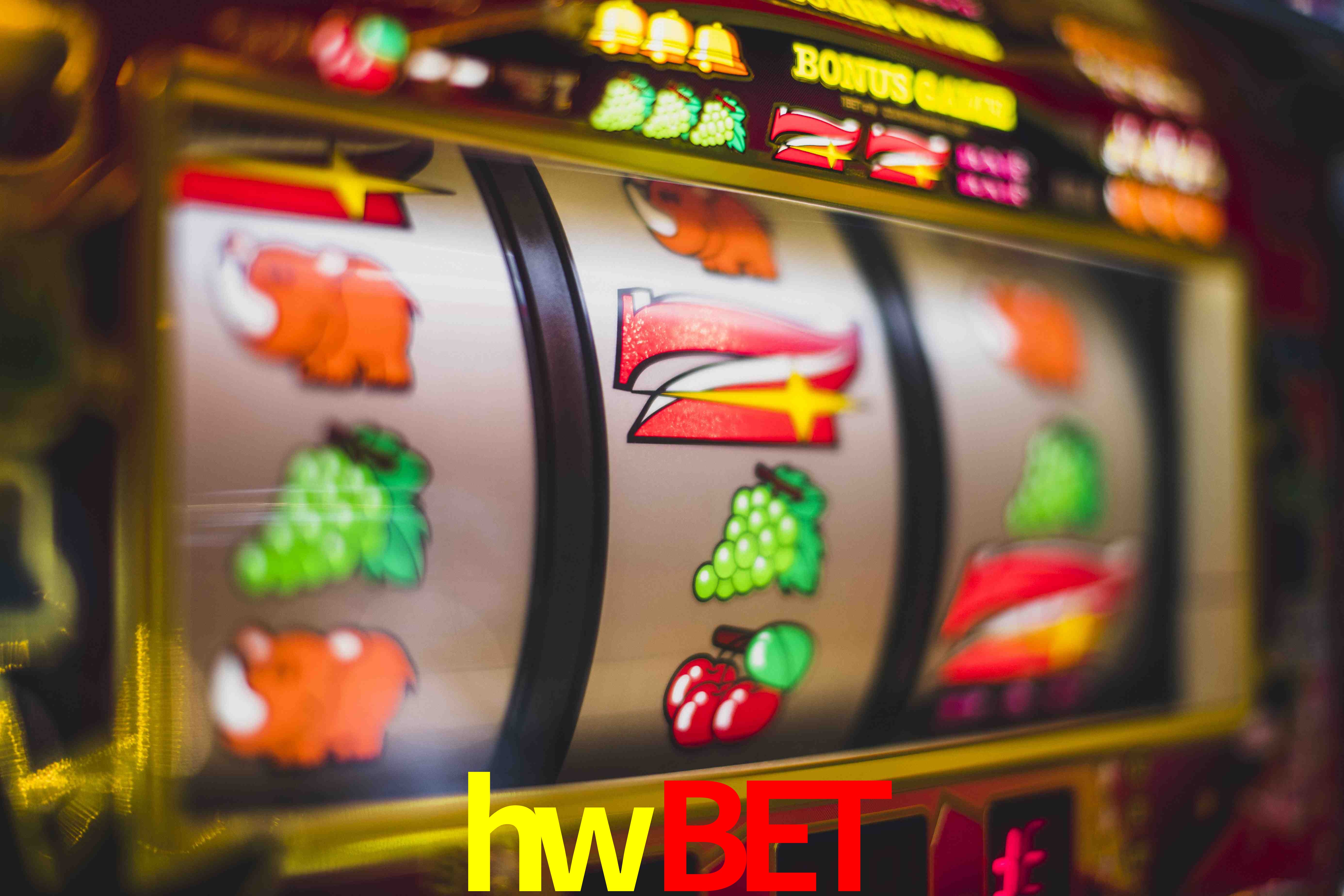 Sports Statistics hwbet